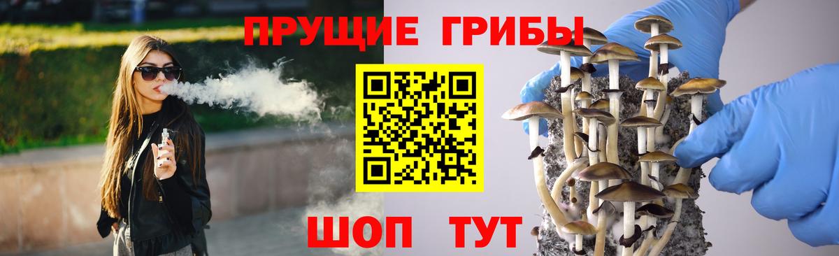 Тында  Псилоцибиновые грибы MAGIC MUSHROOMS  Вход с VPN 